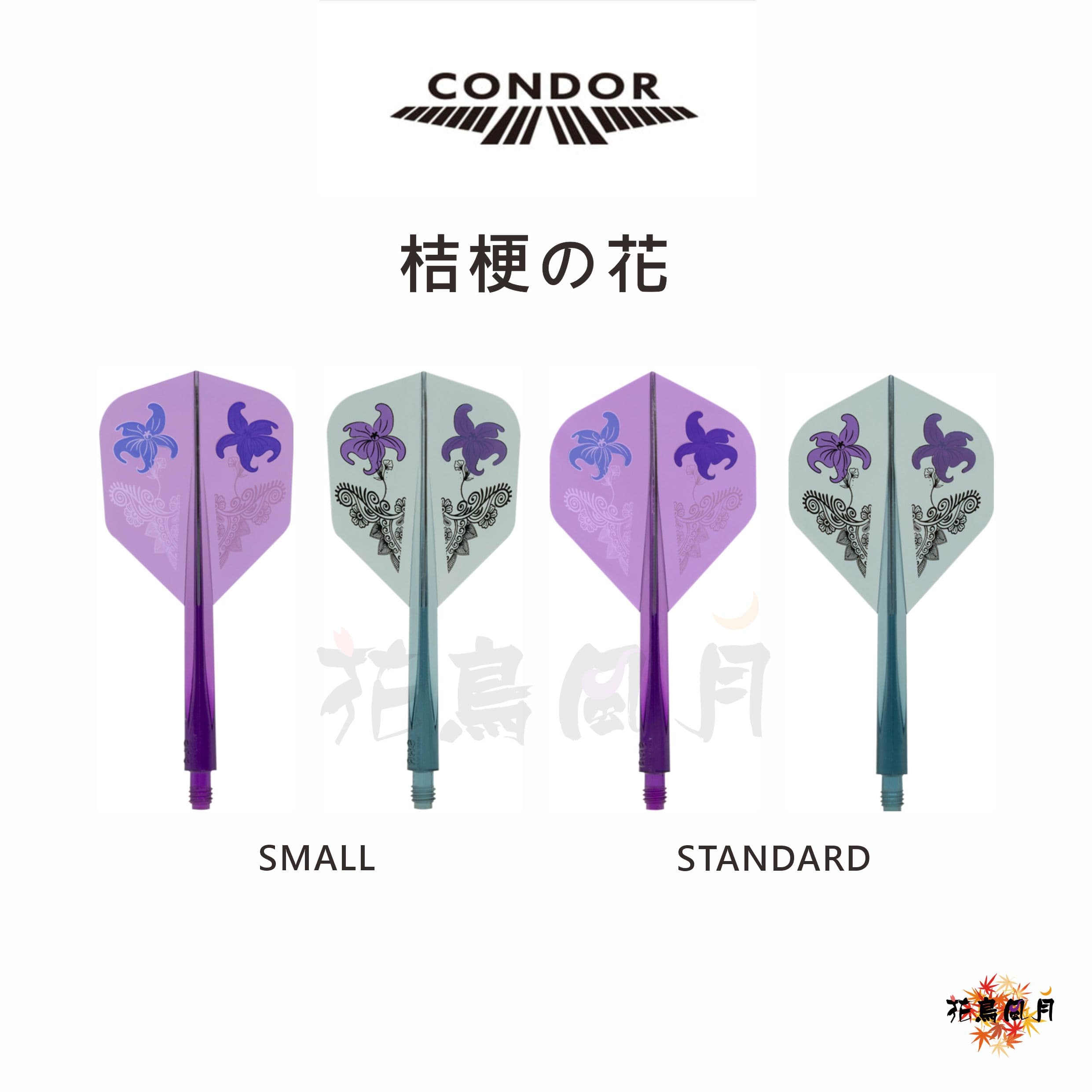 【CONDOR】AXE 桔梗の花 岩田夏海